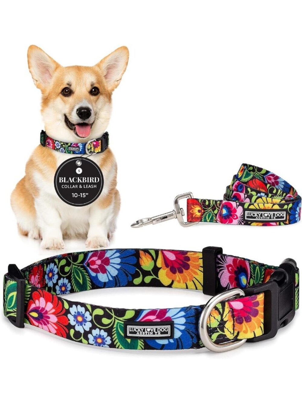 Cute Black Dog Collar & Leash Set for Small Dogs - Stylish & Durable Pet